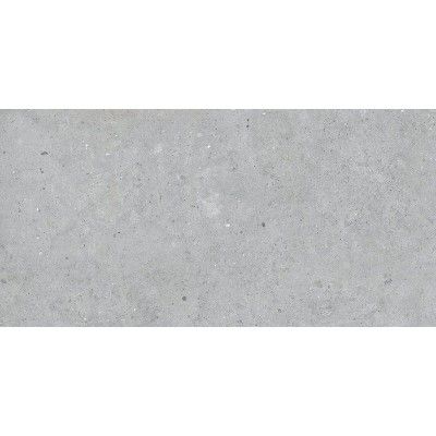 Biophilic Grey Rett. 60x120 Pastorelli - 1