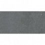 Biophilic Dark Grey Rett. 60x120 Pastorelli - 1