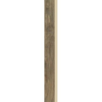 Wood Basic Brown Sockel 6,5x60 Paradyz - 1