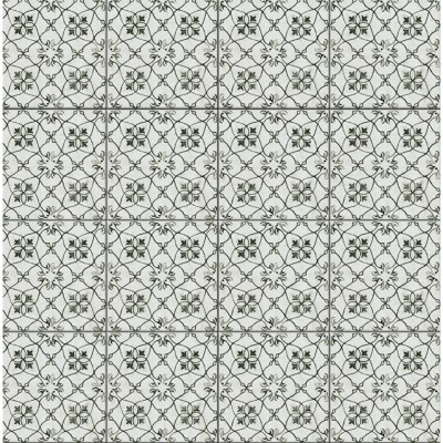Nouveau Grey Light 29,75x29,75 Land Porcelanico - 1