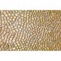 Brunei 29x29 Mozaik gold Dune - 2