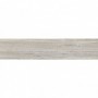 Fliesenn Holzoptik Aparici Camper Ash Natural 24,75x99,55 Aparici - 1