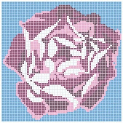 Q Rose (plaster 164,3x164,3 cm) Dunin - 1