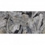 Acanto Patagonia Full Lapp. Rett. 60x120 Emil Ceramica - 1